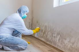 Best Black Mold Removal  in Ross, OH