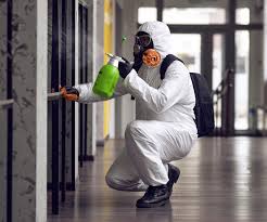 Best Industrial Mold Remediation  in Ross, OH